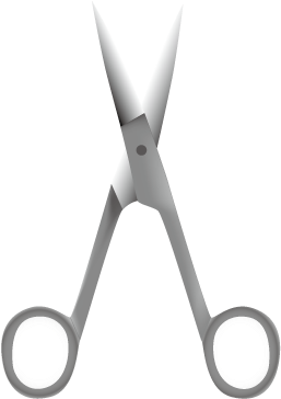 Dissecting Scissors - Scissors (500x375), Png Download