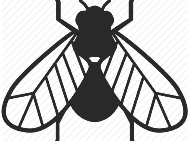 Drawn Glitch Winged Insect - Insect (640x480), Png Download