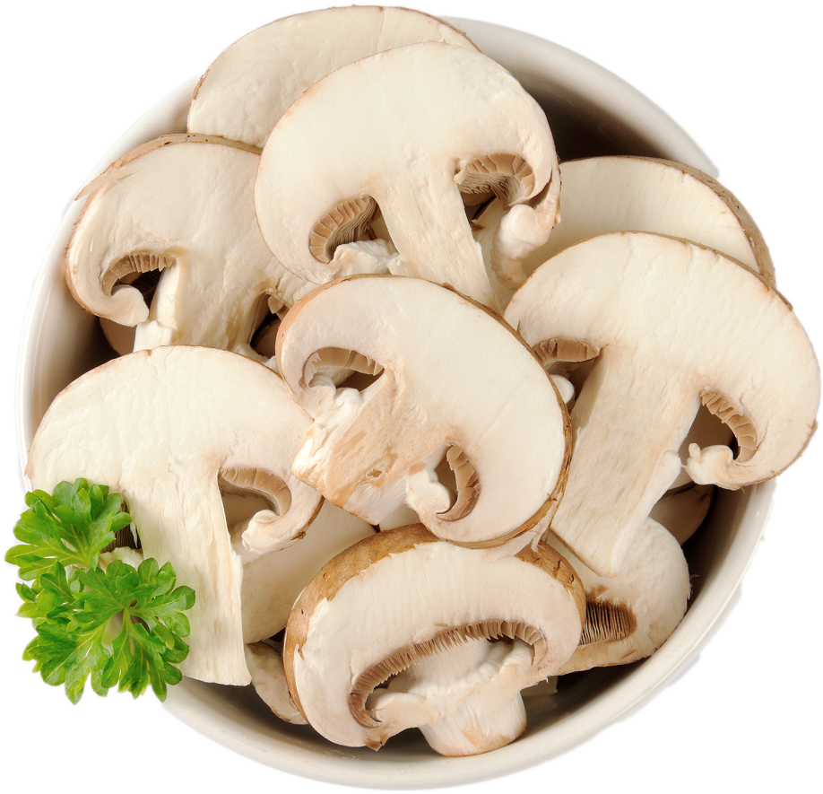 Mushrooms Clipart Wallpaper - Mushroom (1024x1003), Png Download