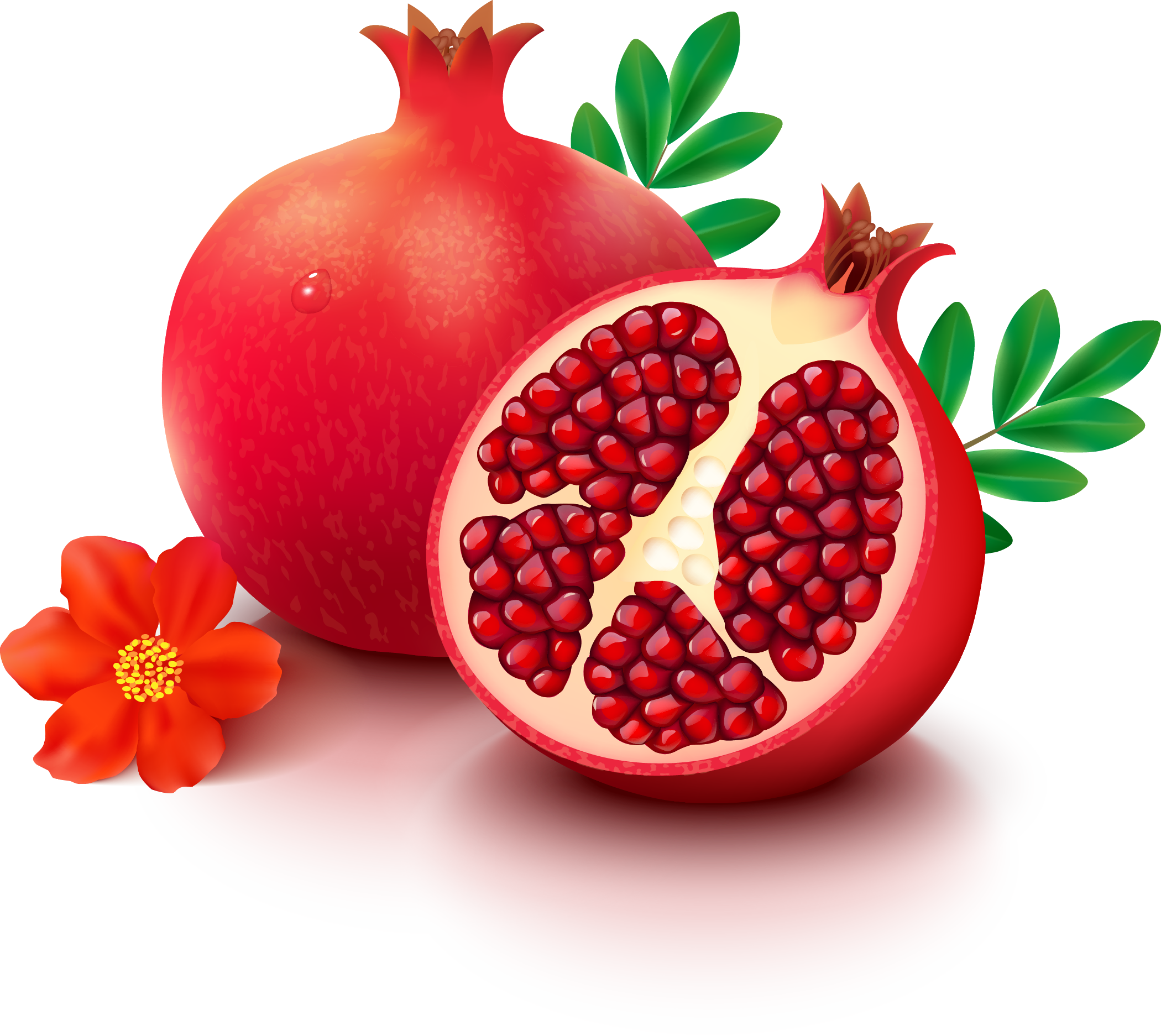 Grenade - Milani Moisture Lock Oil Infused Lip Treatment Moisturizing (2100x1874), Png Download