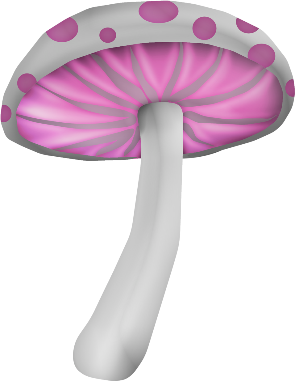 Gj Kitmagicalland Png And Scrapbook Album - Stuffed Mushrooms (1001x1280), Png Download