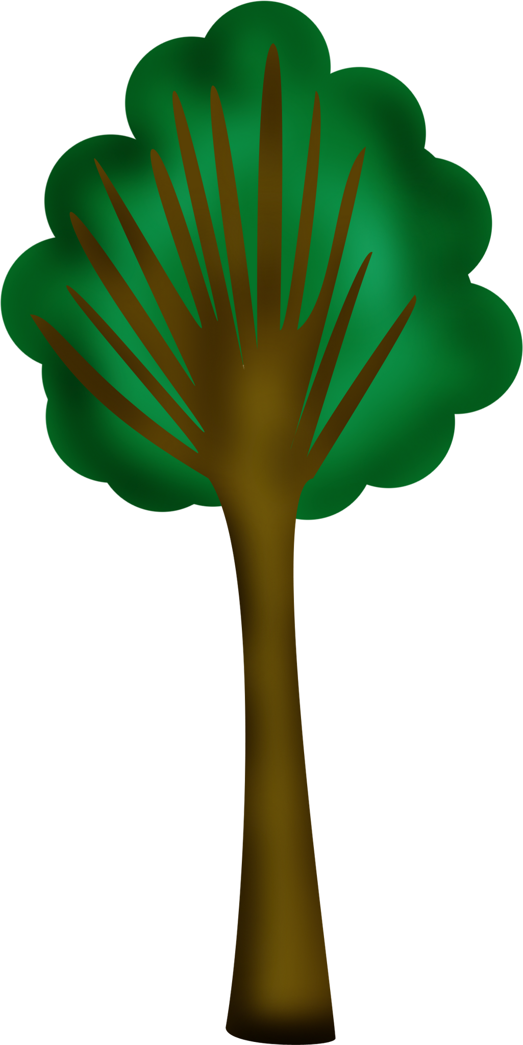 Asafoetida - Sabal Minor (1025x2048), Png Download