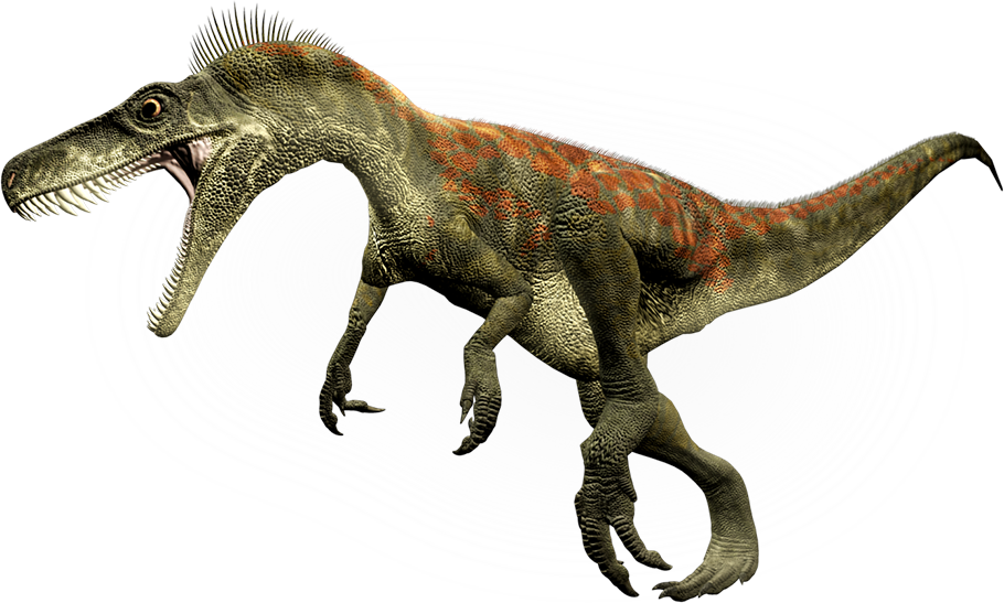 Picture - Dino Png (910x547), Png Download