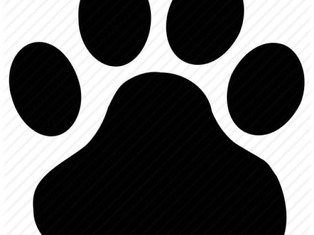 Dog (640x480), Png Download