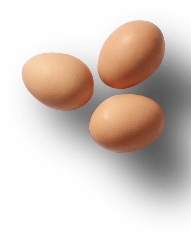 Eggs - Egg (614x775), Png Download