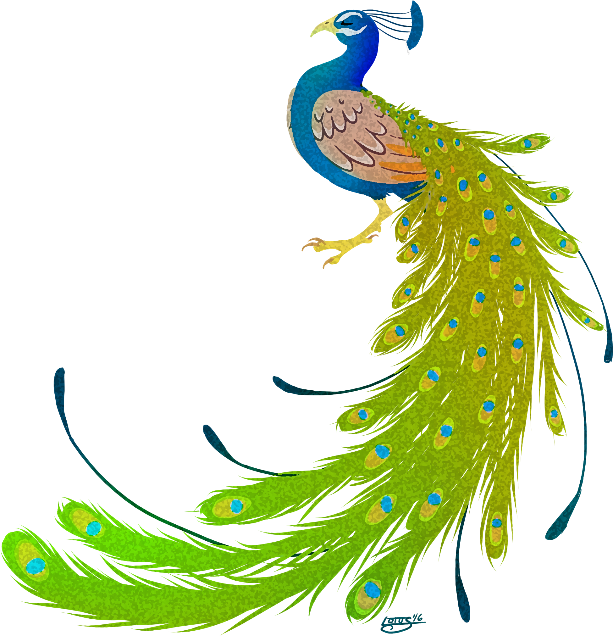 Go To Image - Peacock Images Hd Png (2112x2112), Png Download