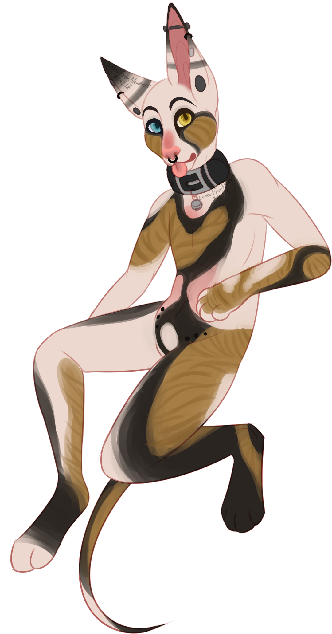 Im In Love With A Shooting Star - Illustration (1362x2287), Png Download