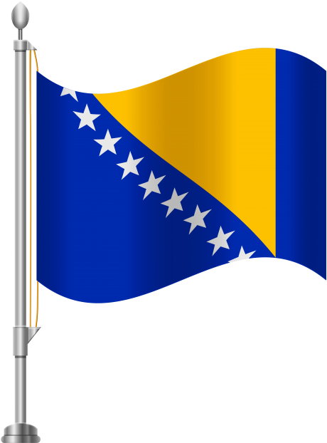 Free Png Bosnia And Herzegovina Flag Png Images Transparent - Indian Flag Black And White Png (480x626), Png Download