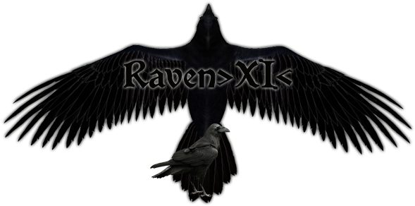 Raven - Transparent Background Raven Png (600x300), Png Download