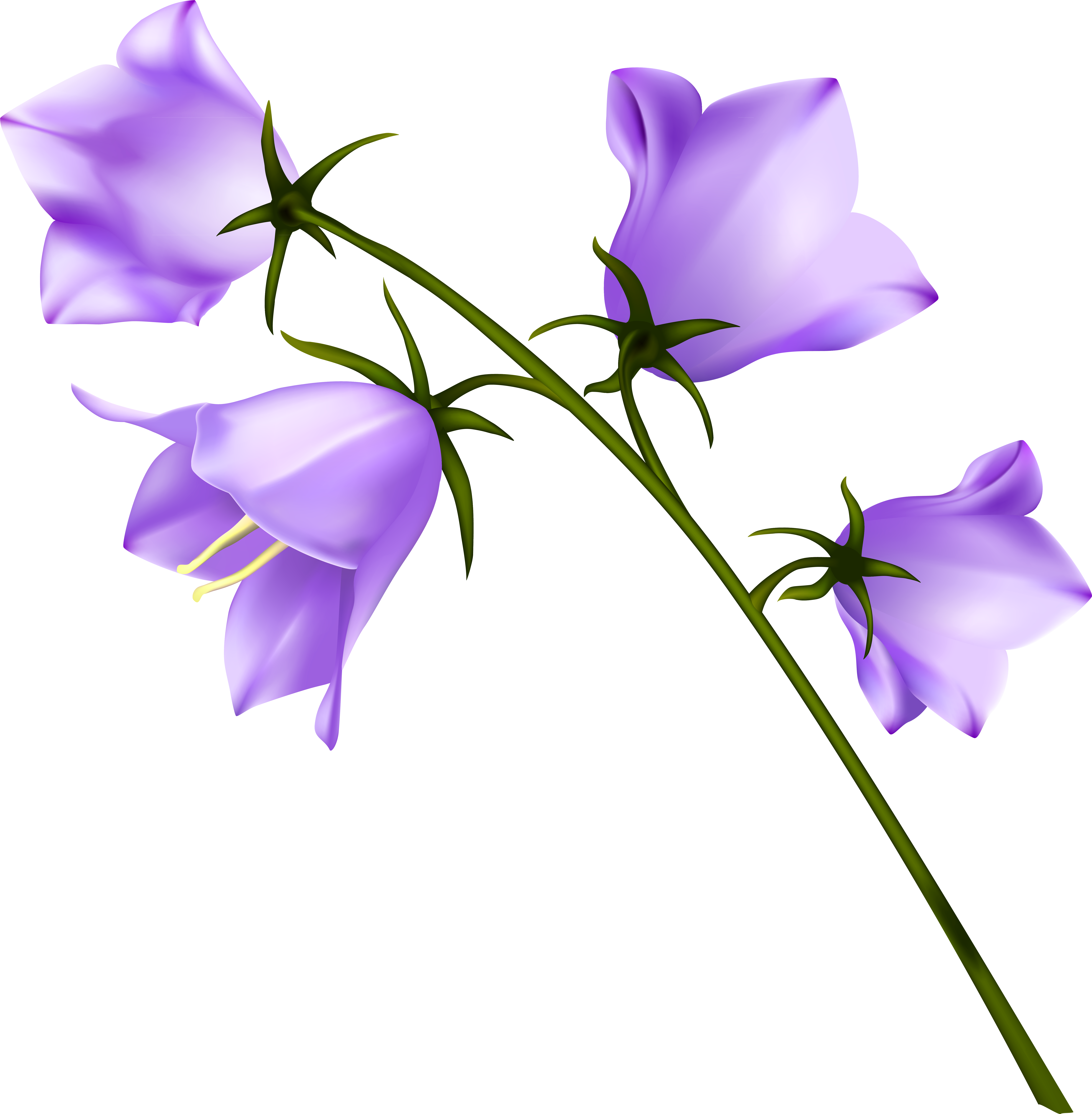 Spring Flowers Png (7603x7335), Png Download