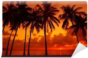 Palm Trees Silhouette On Tropical Beach At - Photograph (400x400), Png Download