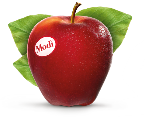 Modi Apfel (477x385), Png Download
