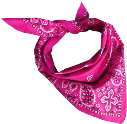 Pink Bandana Png (600x600), Png Download