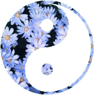 Maiahhhh - Ying Yang (500x357), Png Download