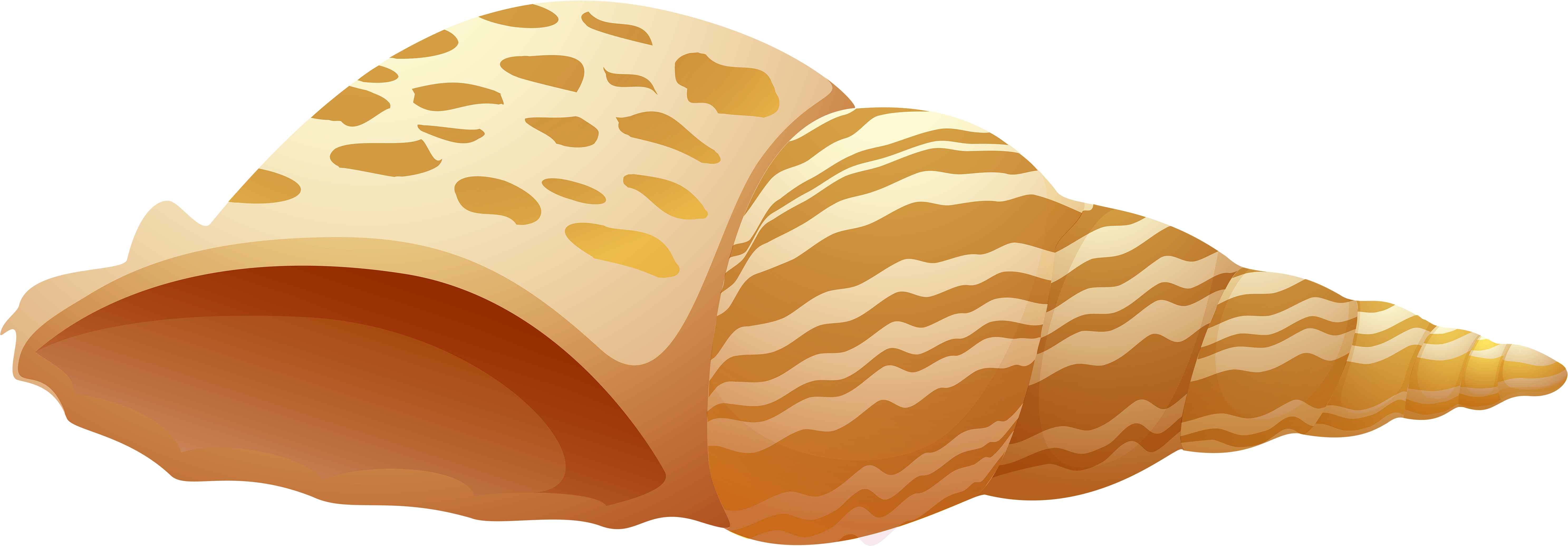 Sea Shell Png Clip Art - Shell Png (6000x2134), Png Download