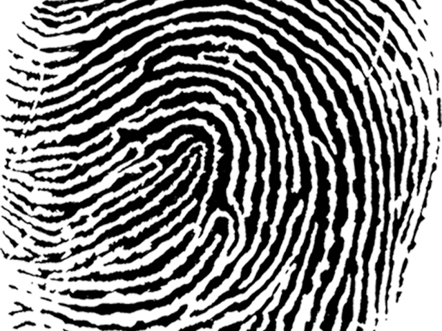 Fingerprint Png Transparent Images - Fingerprint (640x480), Png Download