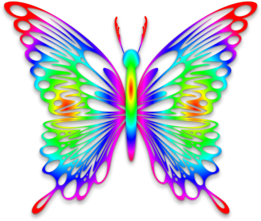 Transparent Rainbow Butterfly - Rainbow Image Of Butterfly (979x816), Png Download