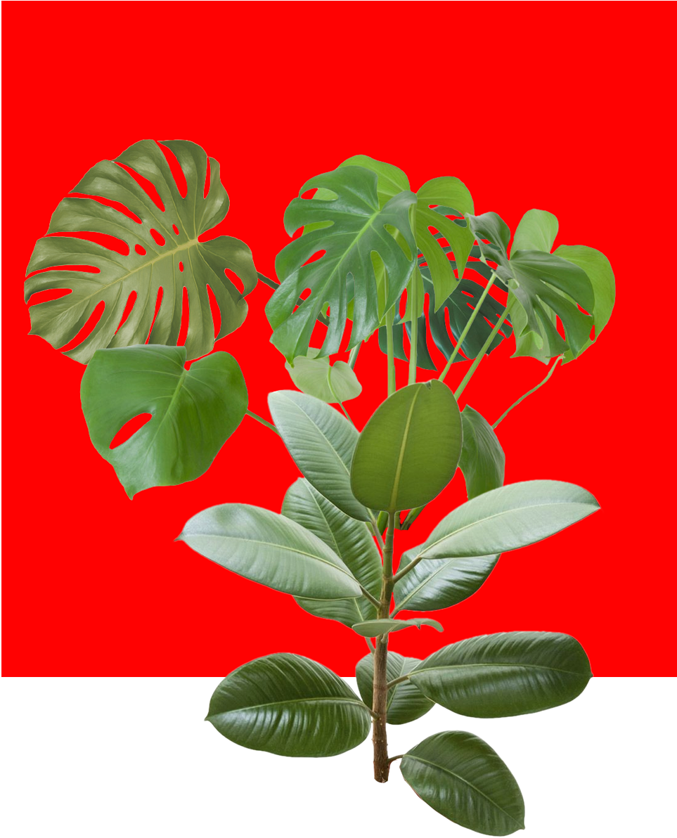 Blog - Free Transparent PNG Download - PNGkey