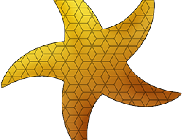 Starfish (640x480), Png Download
