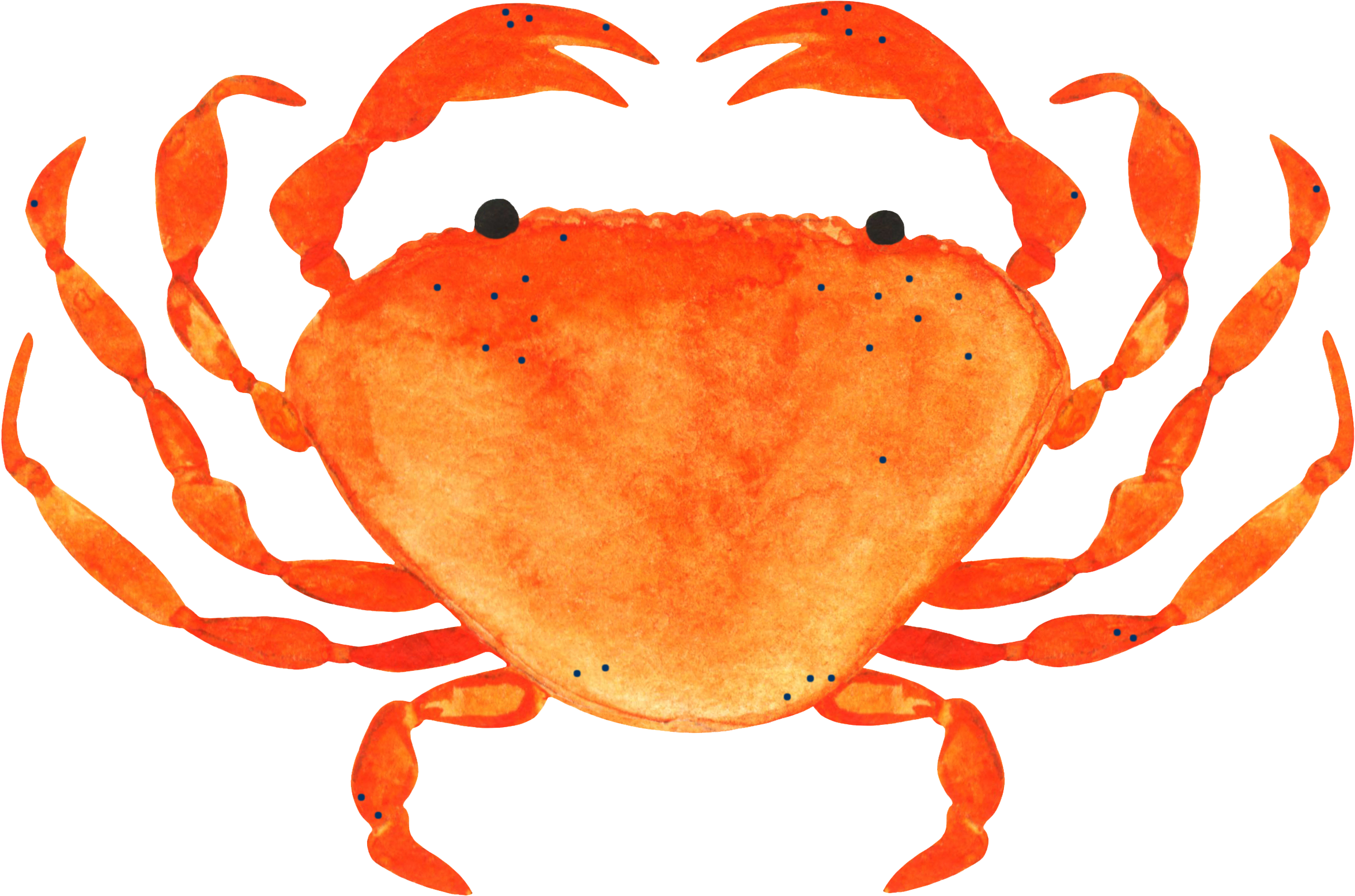 All Tickets $55 - Ahoy Indoor/outdoor Cushion (2556x1884), Png Download