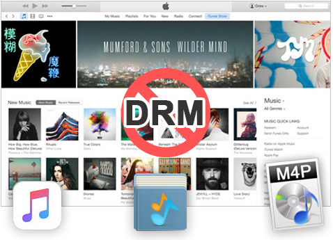 Apple Music Converter - Blur: The Magic Whip Cd (490x350), Png Download