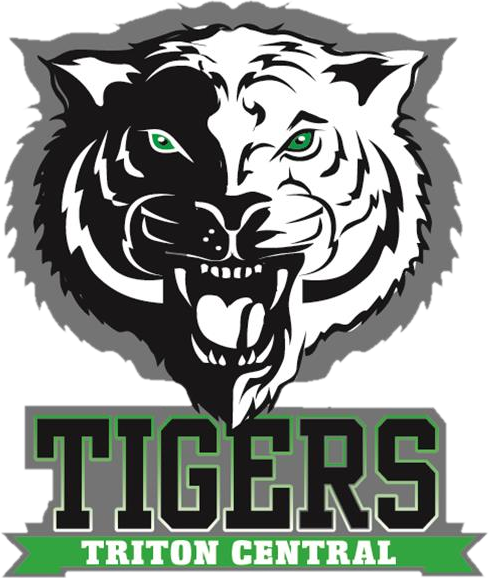 Hs Football - - Triton Central High School (489x579), Png Download