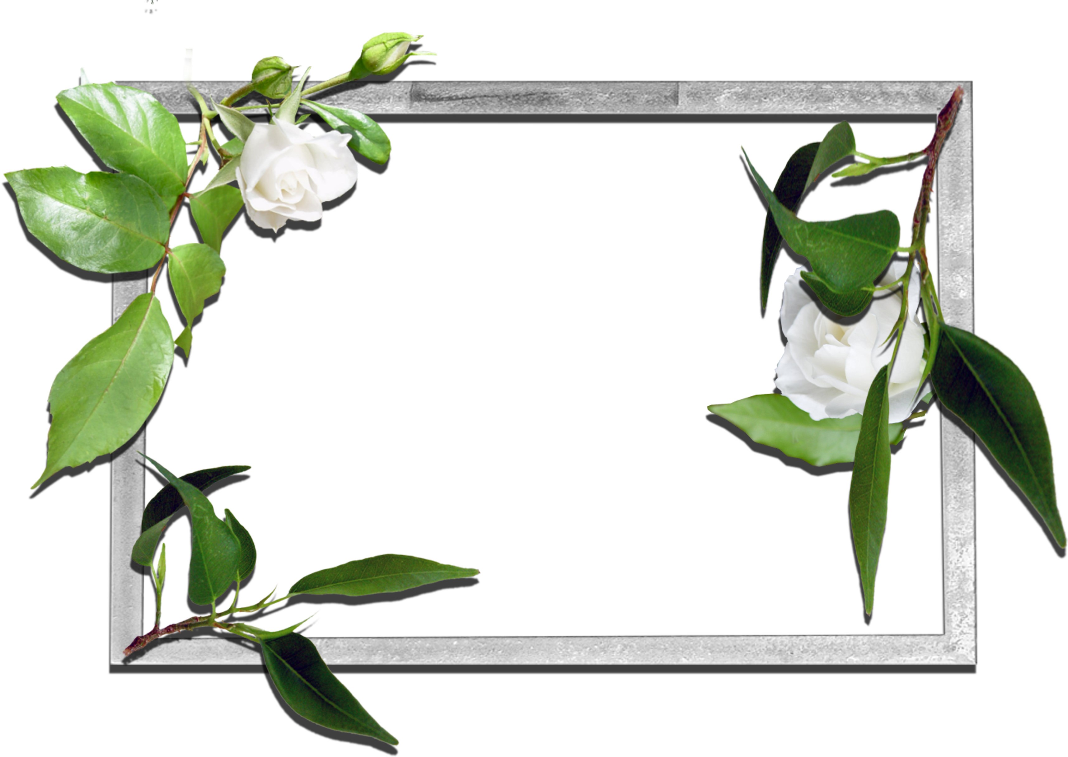 Frames Flowers Transparent Png (3510x2480), Png Download