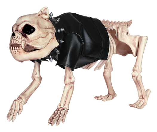Skeleton Dog Dress Up Kit - Crazy Bonez Skeleton Dog Dress Up Kit (650x513), Png Download