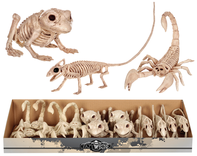 Skeleton - Seasons (hk) Ltd. Skeleton Frog (650x521), Png Download