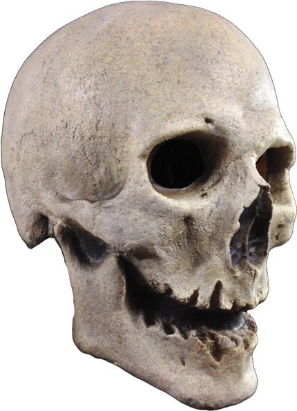 Previous Product Next Product - Trick Or Treat Studios Antique Skull Mask (436x639), Png Download