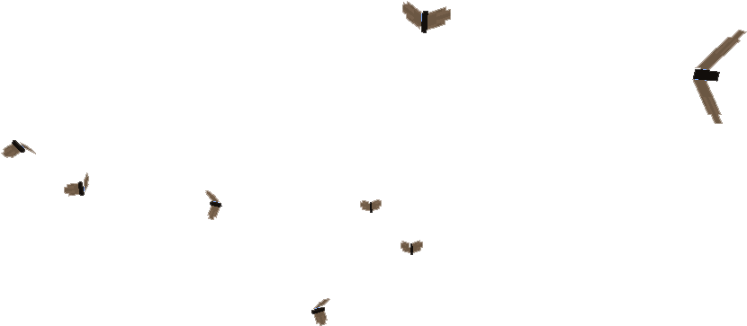 Midges - Wiki (854x402), Png Download