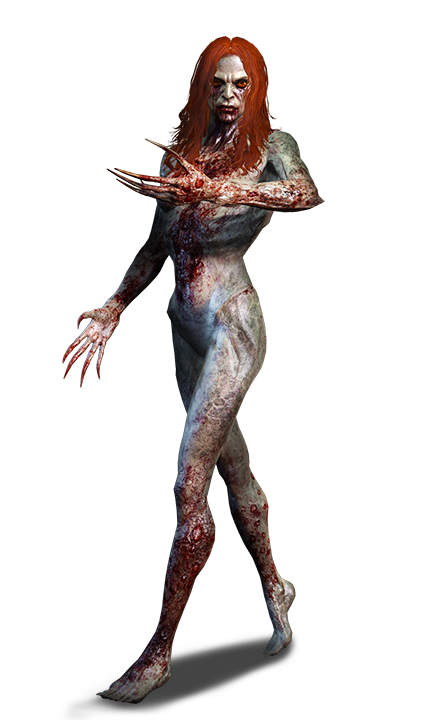 Witcher Png Background Image - Alp Witcher 3 Bruxa (654x727), Png Download