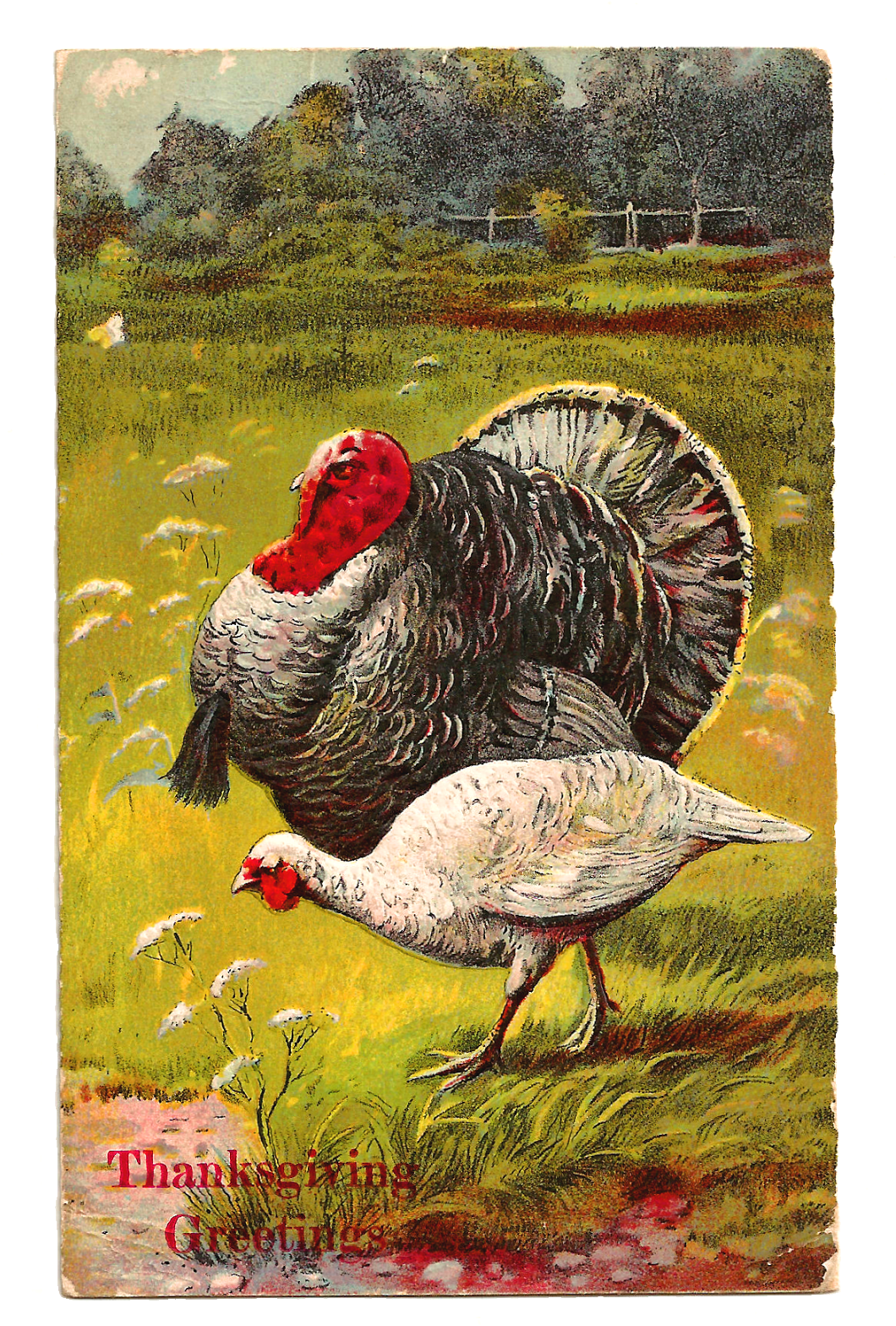 Vintage Thanksgiving Postcard - Thanksgiving (1090x1600), Png Download