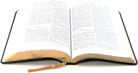 Biblehomepage3 - Baptists: The Only Thorough Religious Reformers - Trade (480x360), Png Download