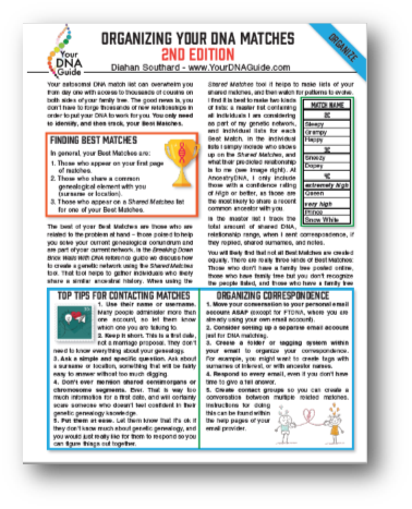 Organizing Your Dna Matches - Dna (378x467), Png Download