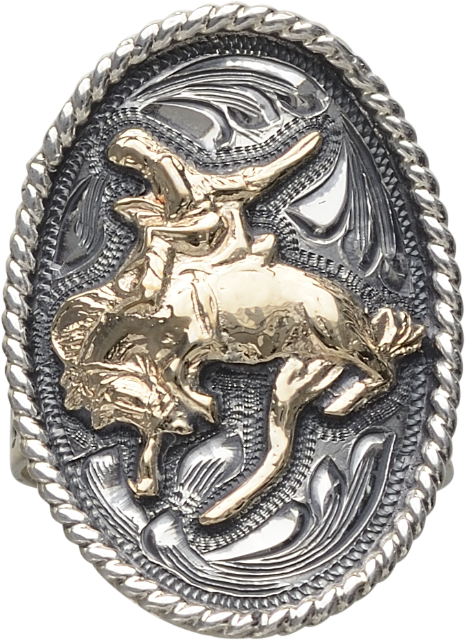 14k Gold Fill Bronc Matilda Sterling Silver Ring - Sterling Silver (1204x1337), Png Download