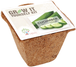 Grow It Yourself Kit Upaj Okra (424x480), Png Download