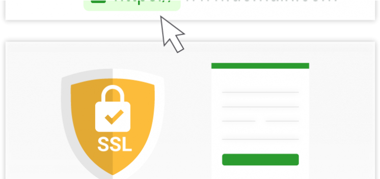 World Wide Web - Ssl (792x350), Png Download