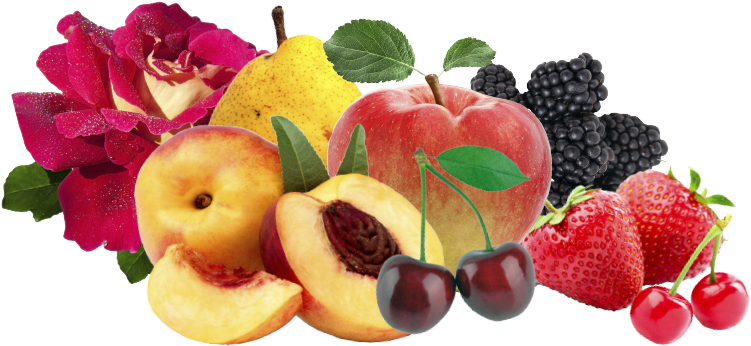 Jpeg File - Place Logo In Presentation (864x648), Png Download