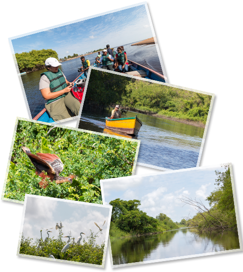 Image - Navigators Travel To Guyana: Based On An Idea By Howard (491x561), Png Download