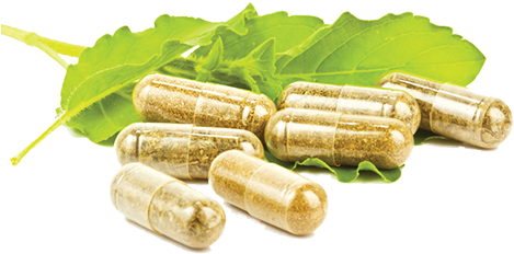 Capsule Png File - Havana Nutrition Cats Claw Bark Capsules - Herbal Plant (485x275), Png Download