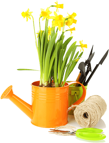 Gardening Tools - Water Can With Flower Png Transparent (394x550), Png Download