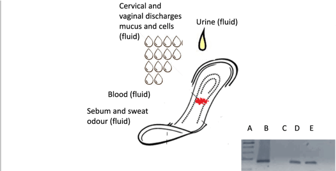 Medical Adsorbent Surgical Bandages As " Adsorber " - Cancer (850x347), Png Download