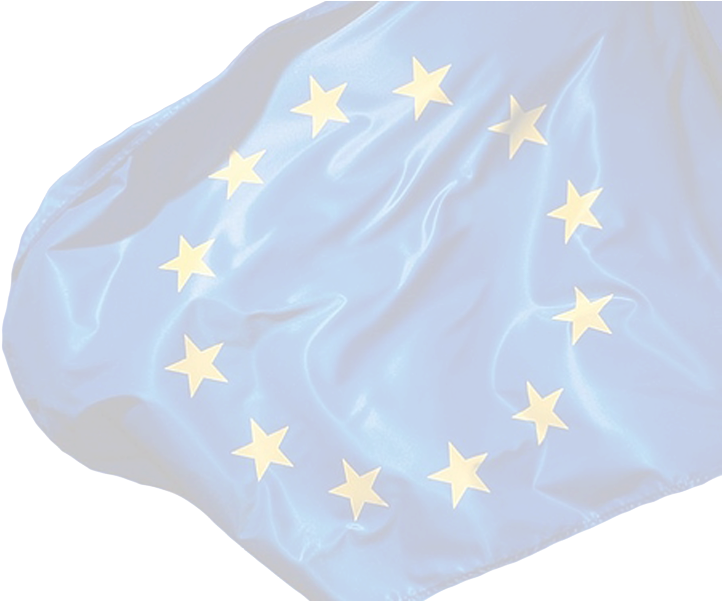 European Union Eu Flag - European Flag (803x788), Png Download