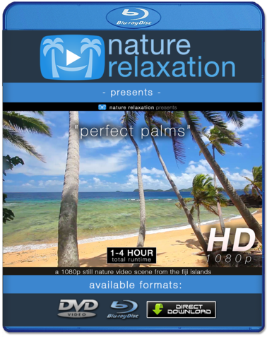 "perfect Palms" Tropical Fiji Static Nature Video Scene - Blu-ray Disc (480x480), Png Download