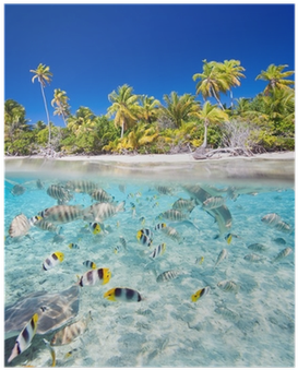 Swiss+pro Wp14 - Cámara Acuática, Doble Pantalla (400x400), Png Download