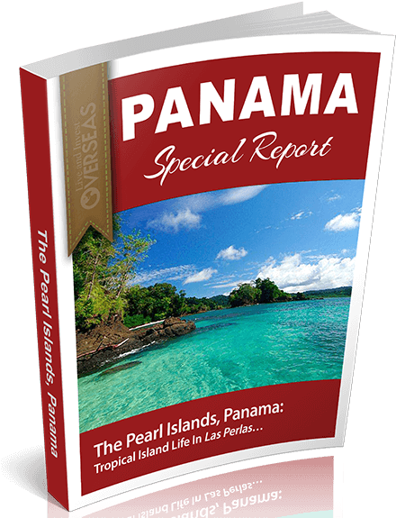 Flyer (500x579), Png Download