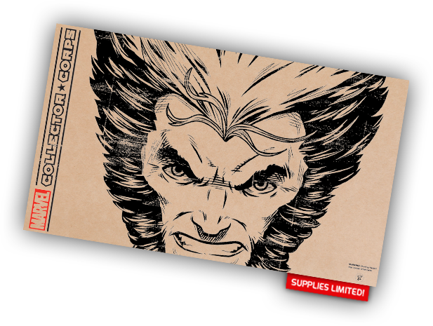Funko Marvel Collector Corps - Marvel Collector Corps X Men (617x465), Png Download