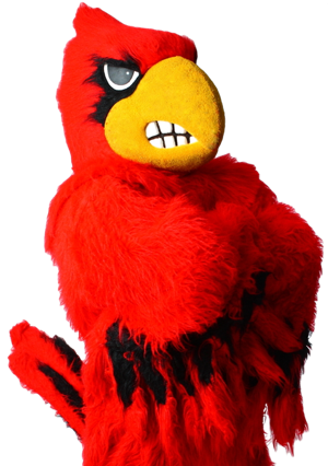 First Name Last Name Date Of Birth Email Parents Email - Louisville Cardinal Mascot Png (300x426), Png Download