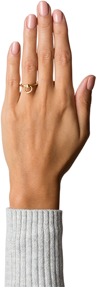 Septum Ring - Prevnext - Jane Kønig Stor Fletring (473x709), Png Download